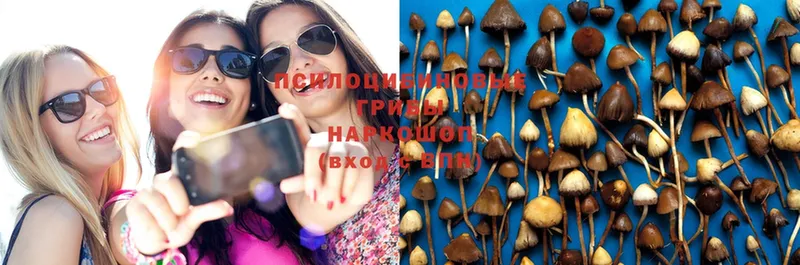 Псилоцибиновые грибы Magic Shrooms  OMG ссылка  Бородино 